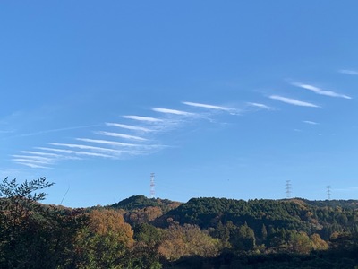 2022122111459.JPG