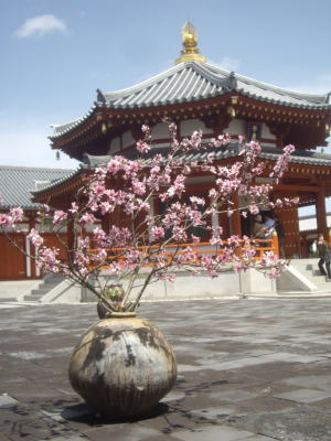 奈良・薬師寺での花展
