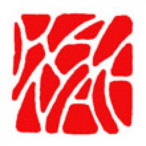 書道の落款印「KANAE」サムネイル